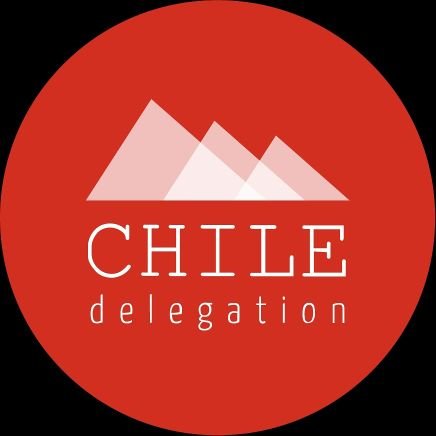 Somos 12 jóvenes líderes chilenos que representaremos al país en la versión 31 de Ship for World Youth (Barco de la Juventud)