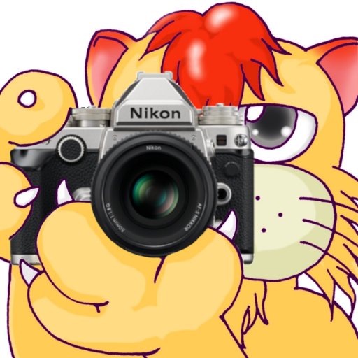 こぱるすけあさんのプロフィール画像