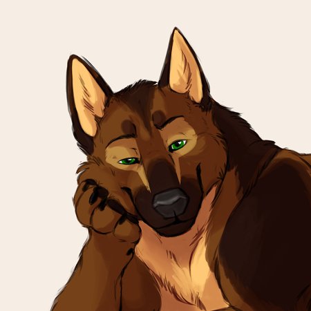 Lover of canines & equine interested | Bi ζ zoo | Ace | M, mid 30s | DMs selective