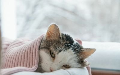 AcrrtVBAcJY4oAx's profile picture. 1908