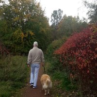 Bob Mattes (@bobmattes1) 's Twitter Profile