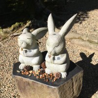 🐰 (@1730_trhk) Twitter profile photo