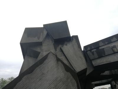 FabianWausBaume's profile picture. 