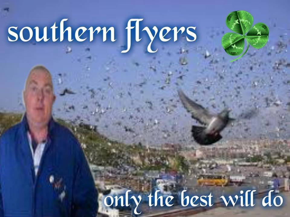 hi im interested in pigeon racing and my favourite harbour cork my home by the lee based on europes second biggest natural harbour