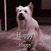 Si Happy Pouvait Parler (@ema2ren) Twitter profile photo Si Happy Pouvait Parler (@ema2ren) Twitter profile photo