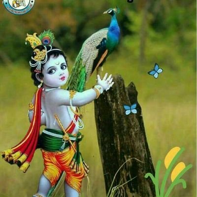 Vikasgu90031745's profile picture. 