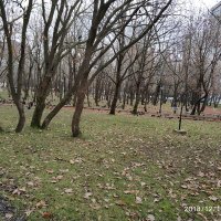 quasar (@faynex7) 's Twitter Profile