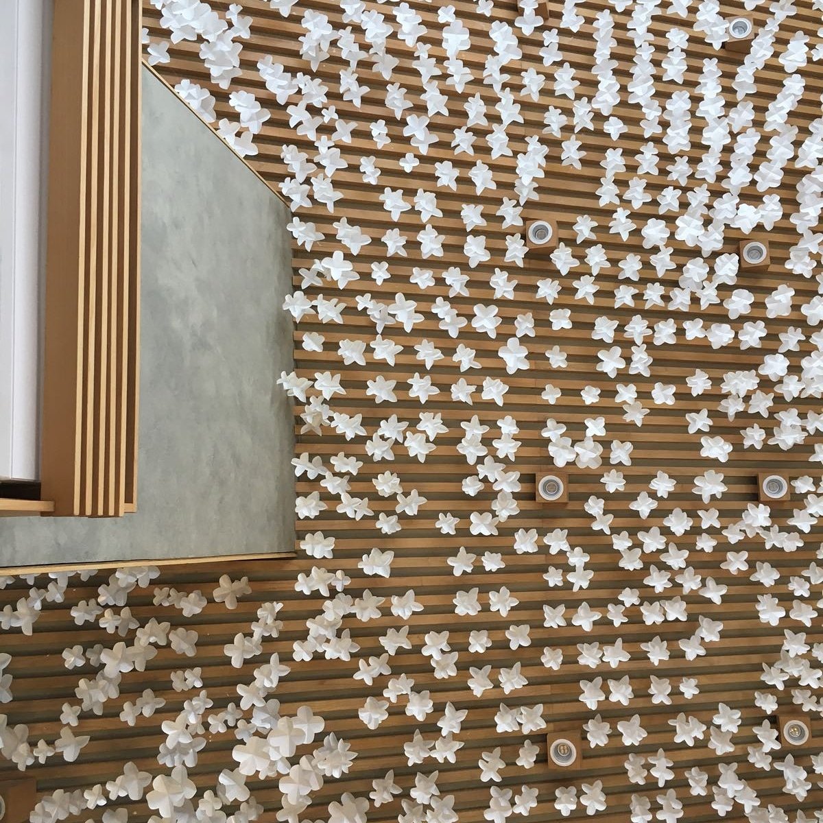 prikiwtiew's profile picture. take what you need.