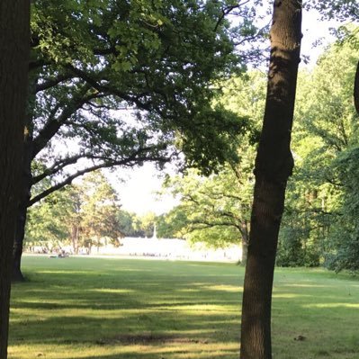 DenizDemirtas0's profile picture. 