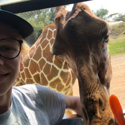 filip_nikolai's profile picture. @Stabaek