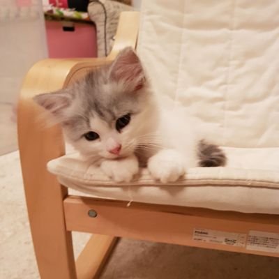 Laetitia1978's profile picture. Always looking for adventures, good company and great fun.