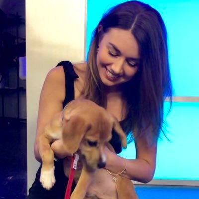 Anchor/Reporter @wfsbnews | Journalism @newhouseSU | New England | #AdoptDontShop | Tweets are mine | email: caitlin.francis@wfsb.com