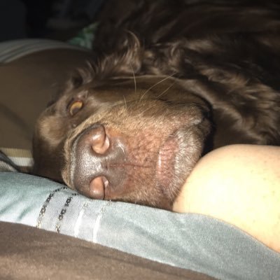 permawaddles's profile picture. 