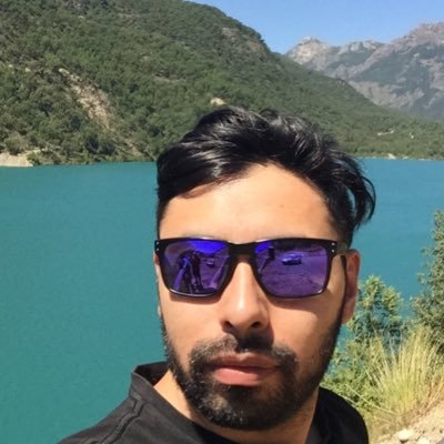 Ingeniero civil en informática, Chillanejo, me considero animalista