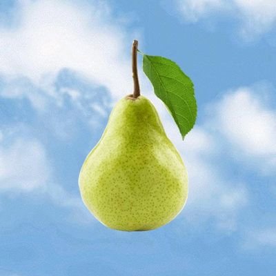 PearTrain's profile picture. nerd