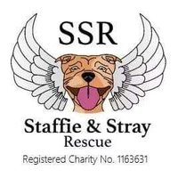 Staffie&Stray Rescue(@StaffiesRescue) 's Twitter Profileg