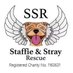 Staffie&Stray Rescue (@StaffiesRescue) Twitter profile photo