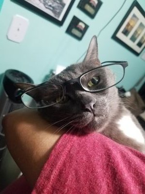 Sortitout7's profile picture. 