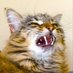 GotMousies ๐ป๐ป๐ป (@gmousies) Twitter profile photo GotMousies ๐ป๐ป๐ป (@gmousies) Twitter profile photo