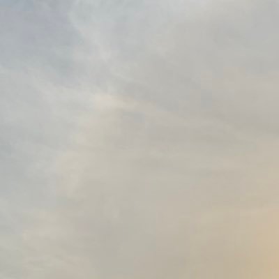 dhoomone94's profile picture. 