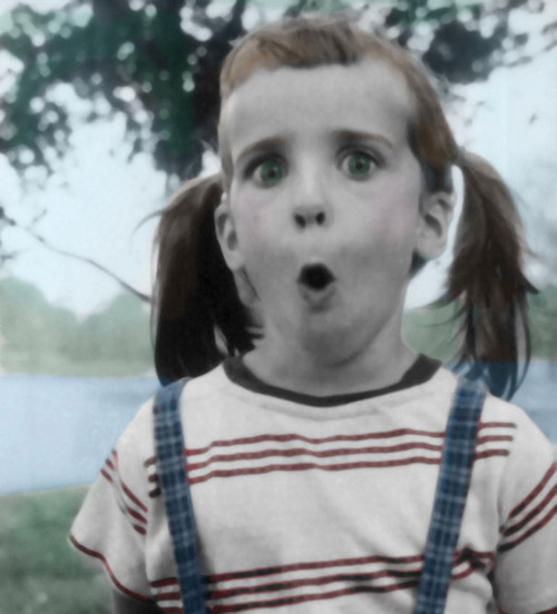 denali321's profile picture. Lover of dogs, fishing and Airstreams.