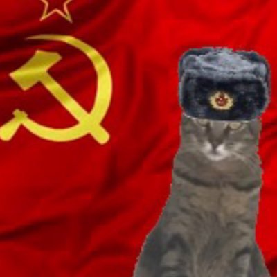 Featured image of post The Best 30 Commie Cat