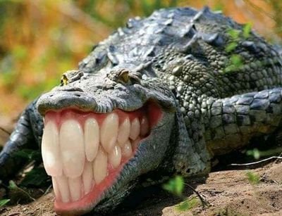 raionegrodaniel's profile picture. 