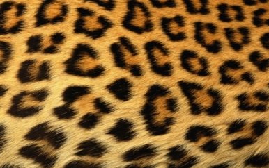 Chester81967519's profile picture. 