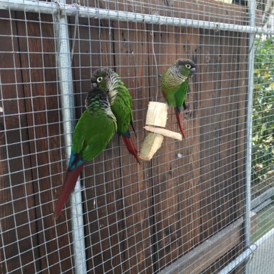 mnmn_snt's profile picture. プラモとガレキ作ってます。