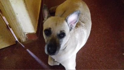 Axaras's profile picture. lurker