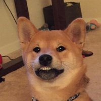 Kc Wry (@conkaseohhh) 's Twitter Profile