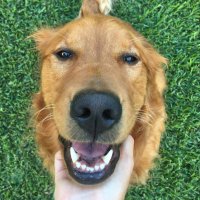 Teresa Landry (@teresalandry) 's Twitter Profile Photo Teresa Landry (@teresalandry) 's Twitter Profile Photo