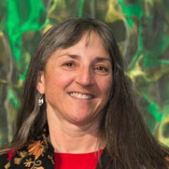 Professor of Chemistry and Electrical and Computer Engineering, Colorado State University
Past President, Telluride Science Research Center (TSRC)