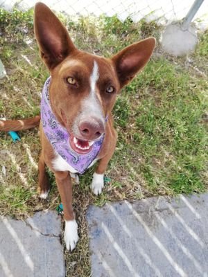 PaolaMa21436894's profile picture. 