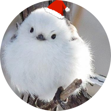 19snow95's profile picture. 宇宙の果てまで雪を降らせたい