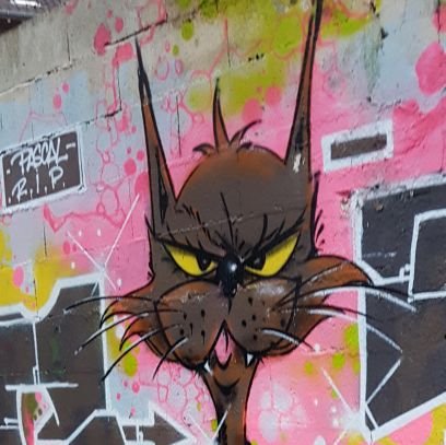 burnal's profile picture. cynique, drôle et méchant
#politique
#colombes