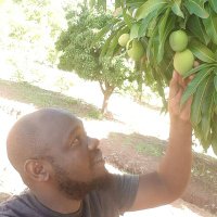 steven mshumbusi (@stevengojo) 's Twitter Profile