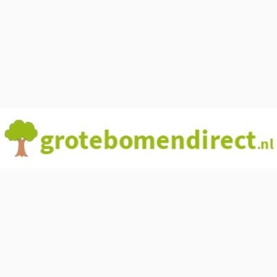 https://t.co/SxPmhQJpOC is een onderdeel van Brienissen groen, een gerenommeerde boomkwekerij uit de betuwe. Een specialist in de levering van grote bomen.