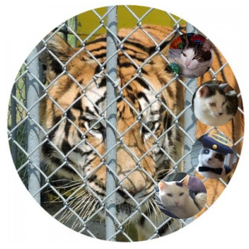 Free Tony The Tiger