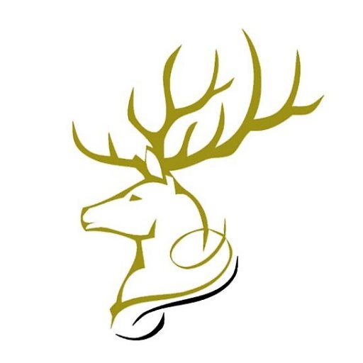 Stag_ExLtd's profile picture. We offer a bespoke exhibition stand design & build service tailored to your specific needs & objectives. Whatever the size of your project get in touch today! 🦌