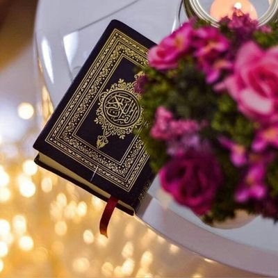 Wn9DfxAfpcRWqpq's profile picture. 