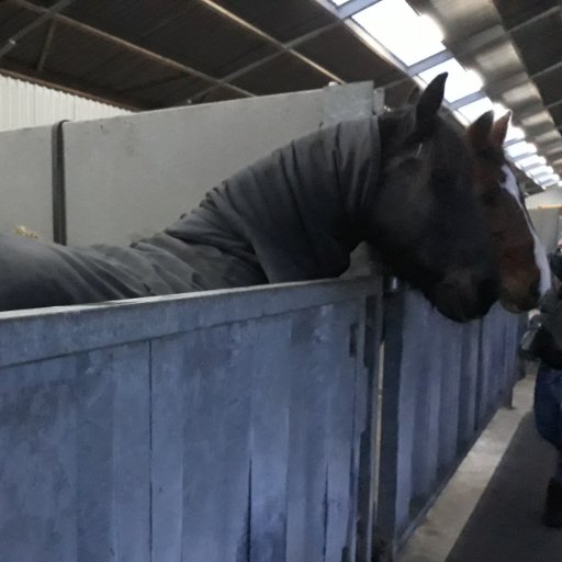 Belleke_Gines's profile picture. Vrouw