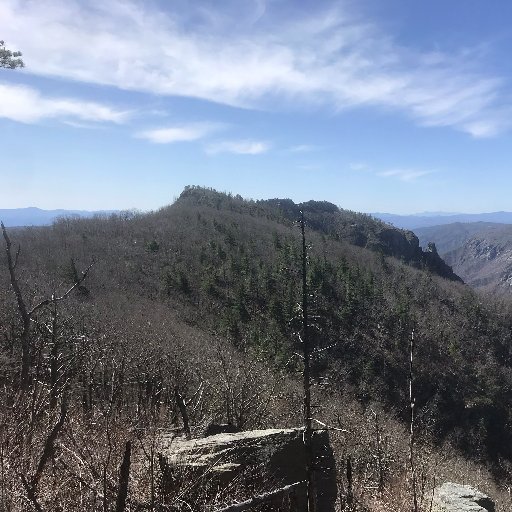 svodicka's profile picture. 