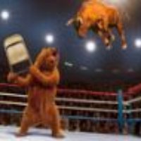 The Friendly Bear (@friendlybearsa) 's Twitter Profile Photo The Friendly Bear (@friendlybearsa) 's Twitter Profile Photo