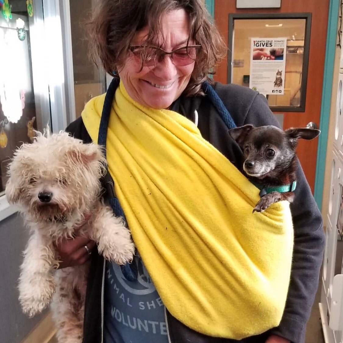 wife, mother, sister, dog guardian, 420 middle of the road gal….