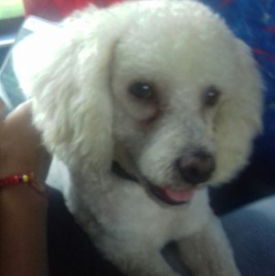 RenataIsabelRo1's profile picture. Abogada