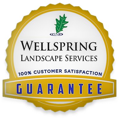 Wellspring Landscape Services, LLC is a full-service lawn maintenance and landscaping company in Austin, Texas.