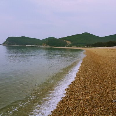 cyber8147's profile picture. J토바기