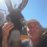 El targui 👣 🇫🇷🇮🇱🇭🇺🇷🇺 (@pperard) 's Twitter Profile Photo El targui 👣 🇫🇷🇮🇱🇭🇺🇷🇺 (@pperard) 's Twitter Profile Photo