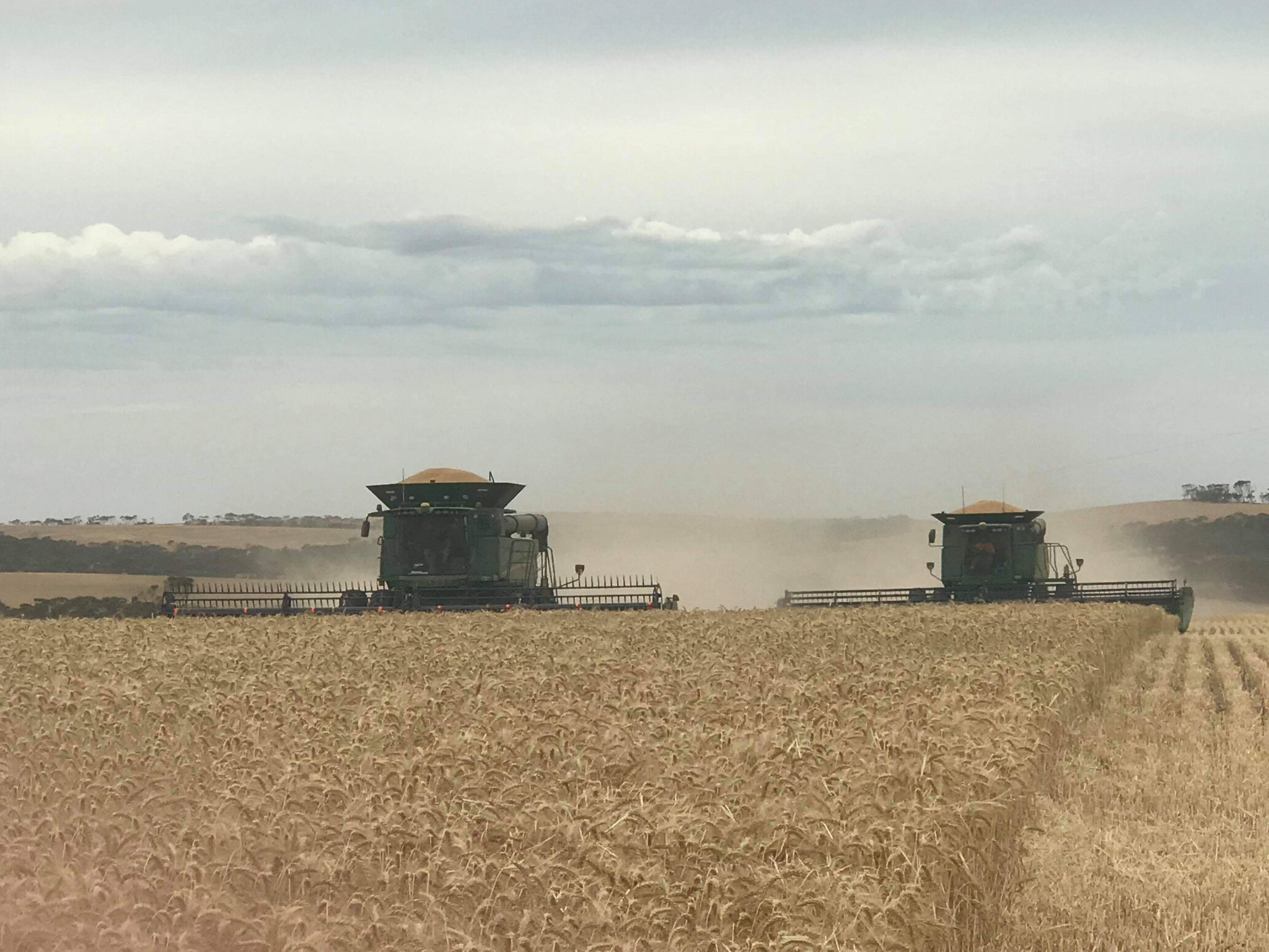 Studied bachelor of ag science at Adelaide University. Now on the family farm where we continious crop wheat, barley, canola, faba beans & lupins using 12m CTF.